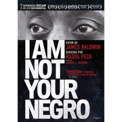 I Am Not Your Negro Dvd