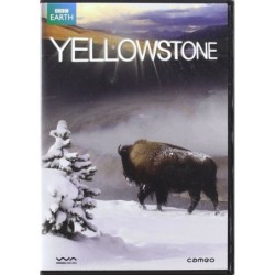 Yellowstone Dvd