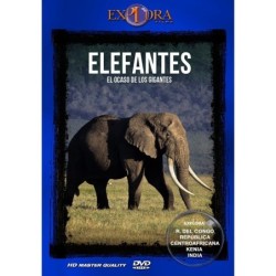 Elefantes El Ocaso De Los Gigantes Dvd