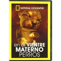 En El Vientre Materno Perros Dvd