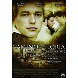 Camino A La Gloria Dvd