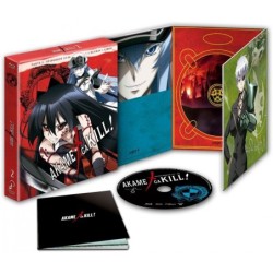 Akame Ga Kill Temporada 2 Episodios 13 A 24 Dvd Dvd