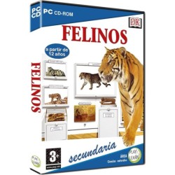 Play  Learn Felinos