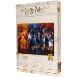 SD TOYS - Puzzle 1000 Piezas Harry Potter, Rompecabezas Hogwarts, 45?x?66?cm