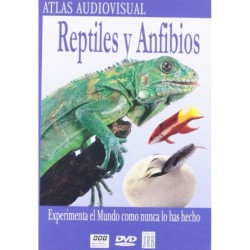 Reptiles Y Anfibios