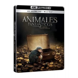 Animales fantásticos 1: Y donde encontrarlos (4K UHD + Blu-ray) (Ed...