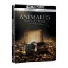 Animales fantásticos 1: Y donde encontrarlos (4K UHD + Blu-ray) (Ed...